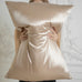 Silk Pillowcase (Beige) Pure Silk Boutique Switzerland