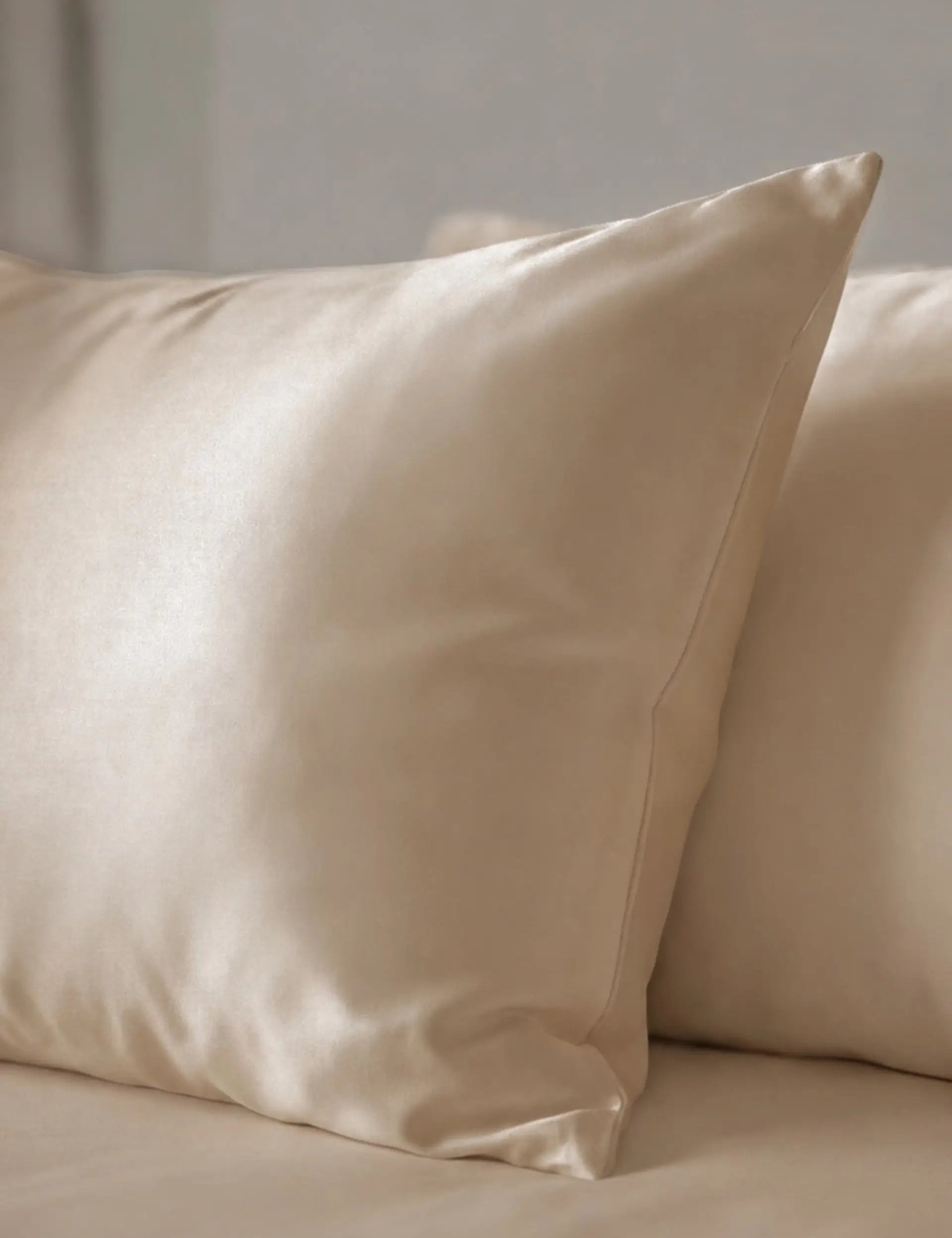 Silk Pillowcase (Beige)
