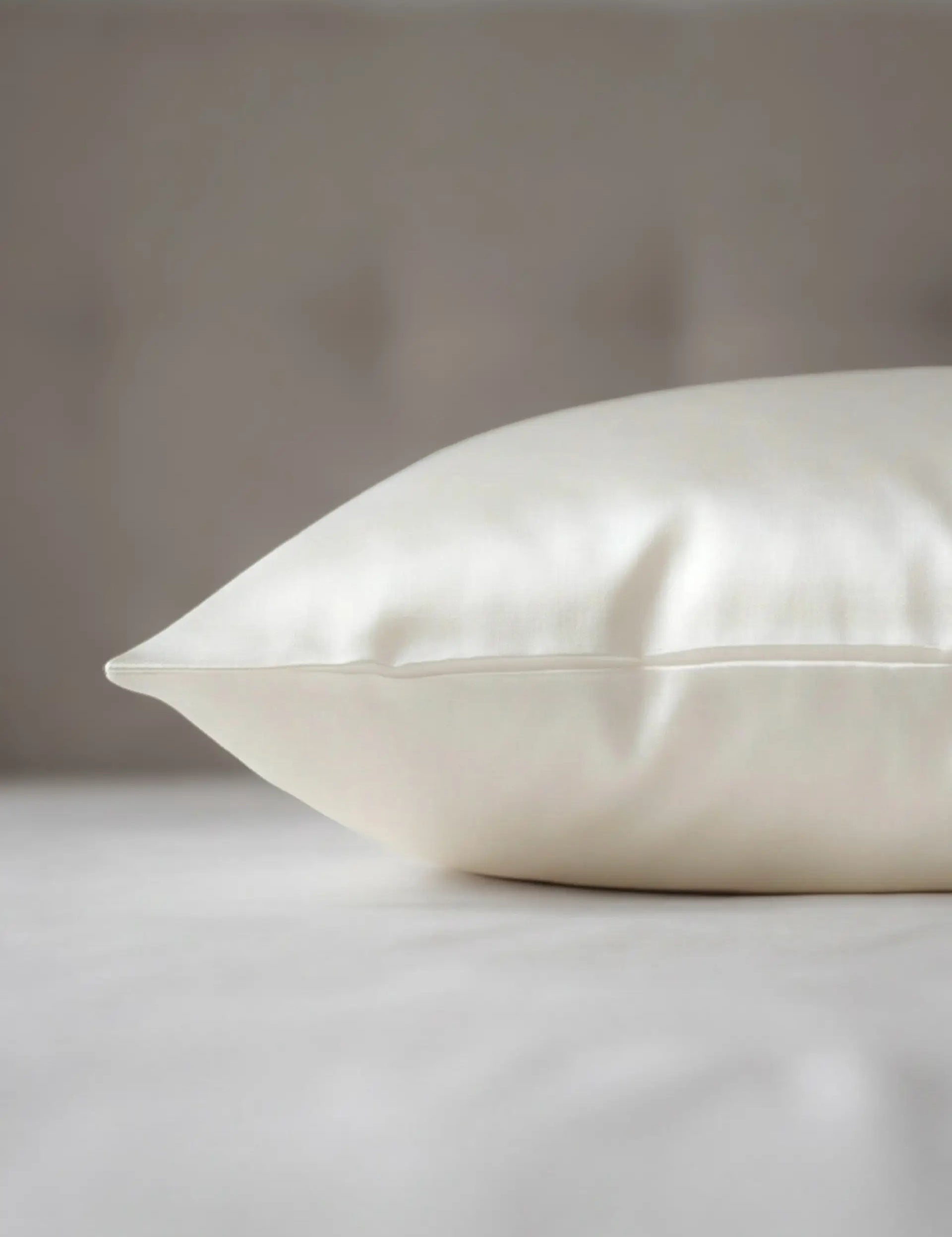 2 Silk Pillowcases Set (Ivory White)