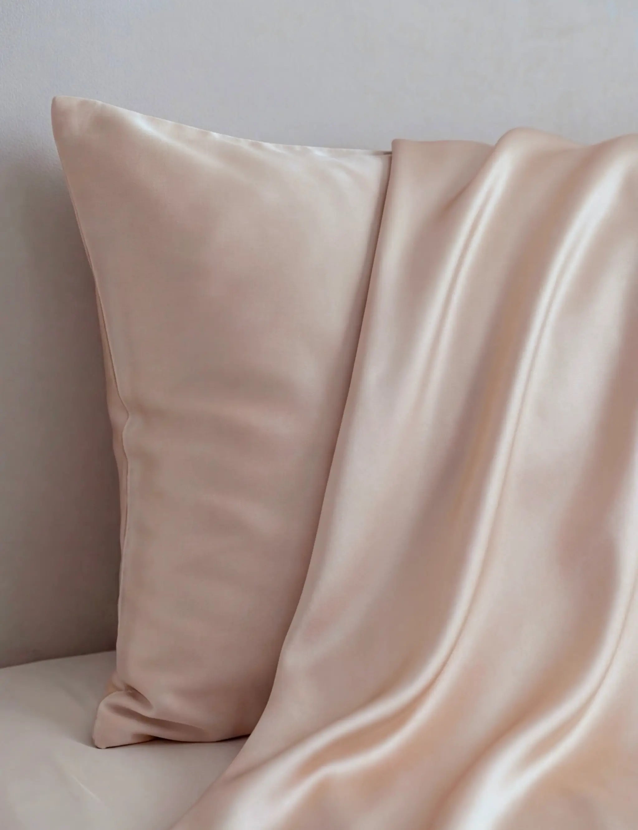 Taie d'oreiller en soie (Beige)