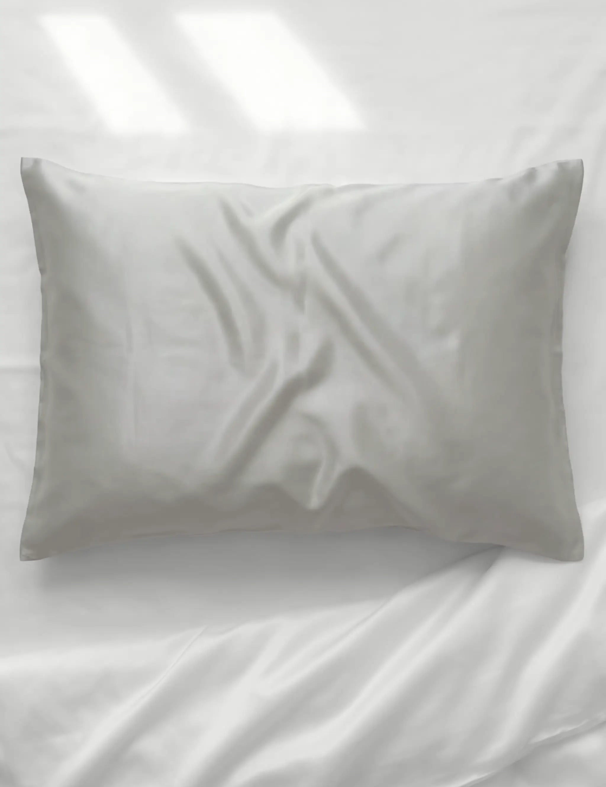 Silk Pillowcase (Silver)